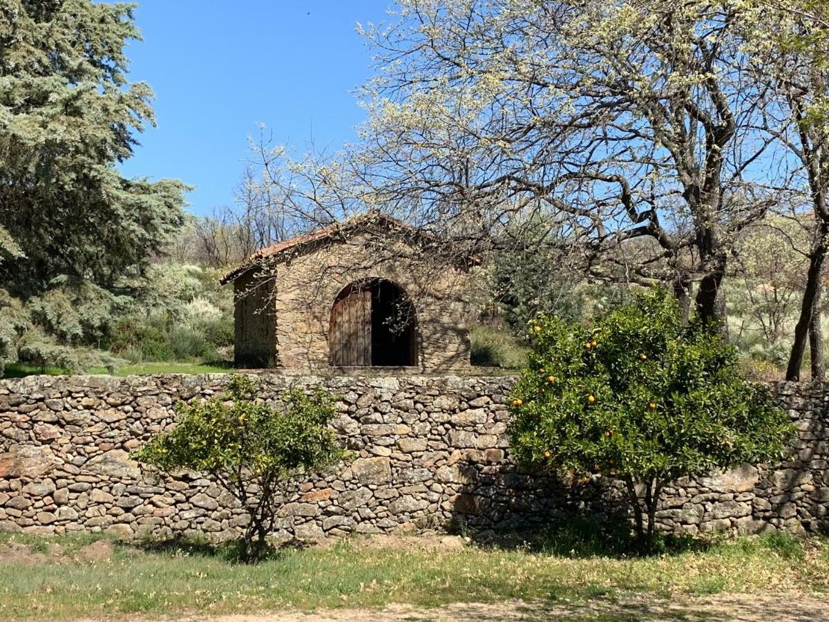 Casa Rural Los Robles Acebo Eksteriør billede