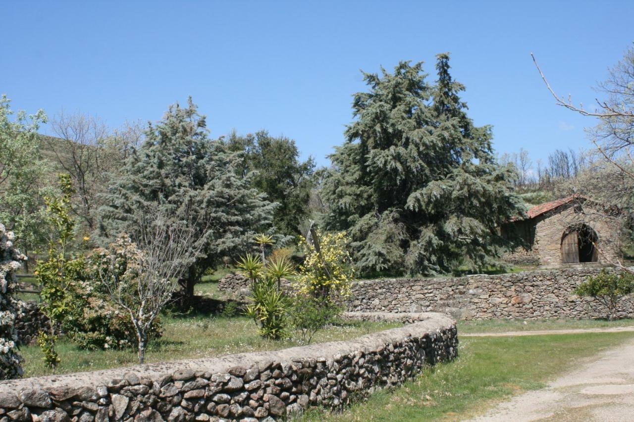 Casa Rural Los Robles Acebo Eksteriør billede